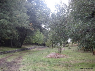sco di Centorbi-18-10-2020 14
